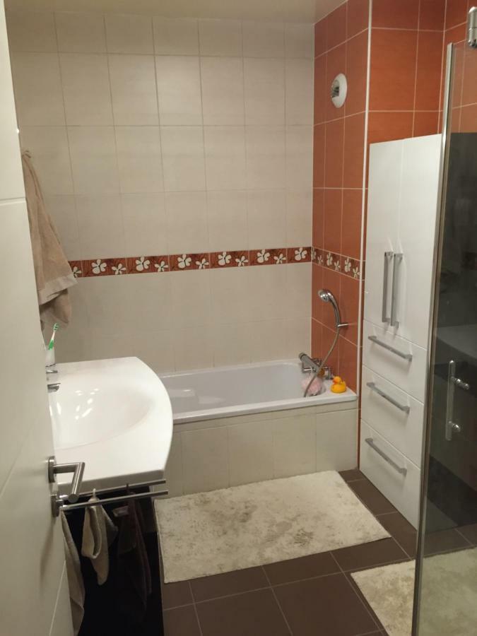 Appartement Des Trois Frontieres Apach Luaran gambar